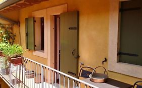 Gecko'S Balcony